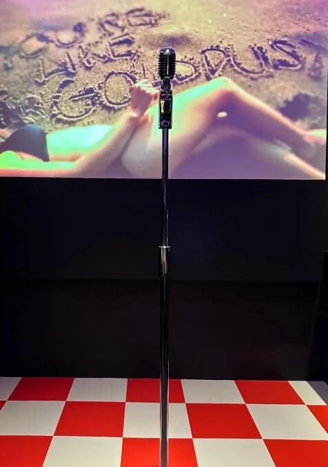 楽しいパーティーの様子